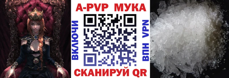 kraken зеркало  Новозыбков  A PVP СК КРИС  даркнет сайт 