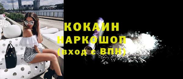 хмурый Алексин