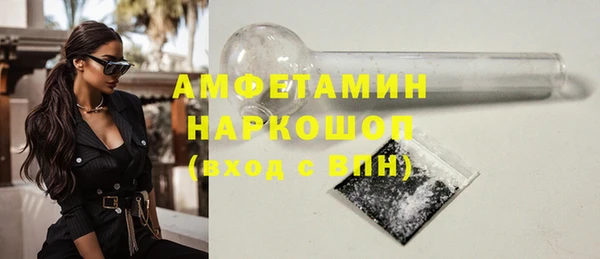 хмурый Алексин