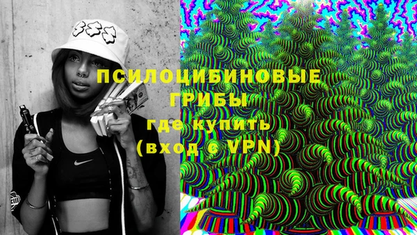 тгк Алзамай