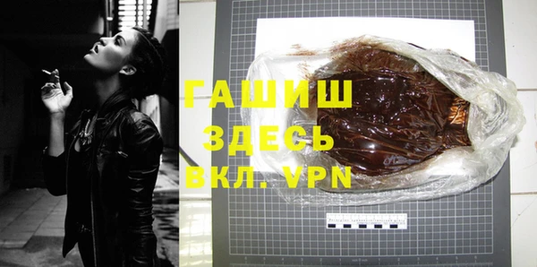 хмурый Алексин