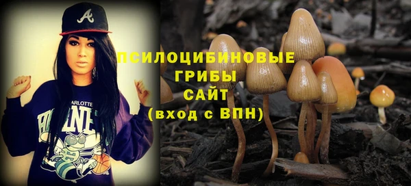 амфетамин Алексеевка