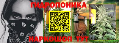 МДПВ Дубна