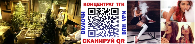 где можно купить наркотик Новозыбков Дистиллят ТГК THC oil