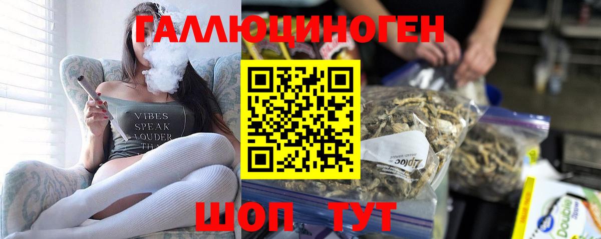 Псилоцибиновые грибы Psilocybine cubensis Новозыбков