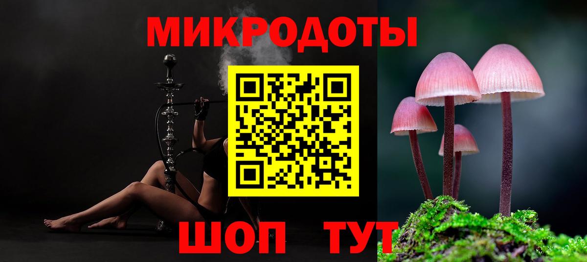 Новозыбков  Псилоцибиновые грибы мухоморы  Псилоцибиновые грибы прущие грибы  Вход с VPN 