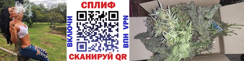 сколько стоит  дарк нет как зайти  Бошки марихуана сатива  Новозыбков 